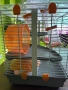 Клетка за хамстер, снимка 5