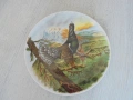 № 8534 Винтидж порцеланово пано с птица – Kaiser Germany  , снимка 5