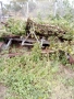 Плуг и култиватор, снимка 3