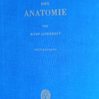 Grundlagen der Anatomie (Основи на анатомията ), снимка 1 - Учебници, учебни тетрадки - 45746261