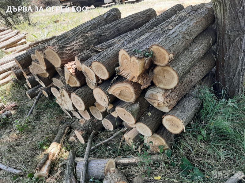 предлагам дърва за огрев метровки акация дървата са едри , снимка 1