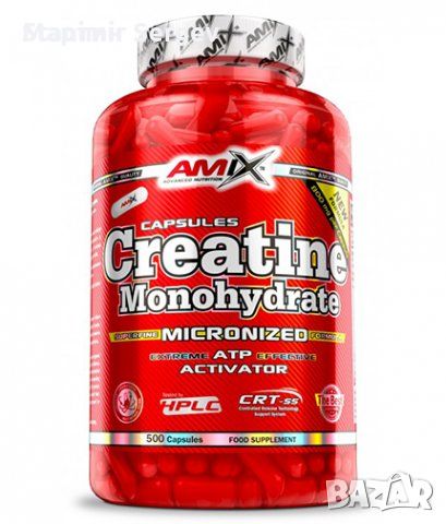 AMIX Creatine Monohydrate 800mg. / 500 Caps., снимка 1