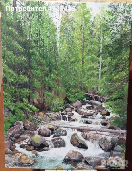 река Демяница, снимка 1