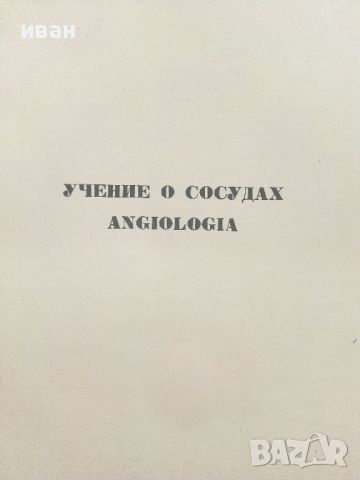 Атлас анатомии Человека  Том 4- В.Воробьев,Р..Синельников -1948г., снимка 4 - Специализирана литература - 36875790