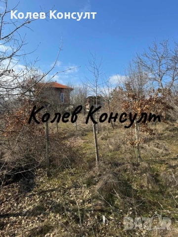 Продавам парцел в град Димитровград, Габера, снимка 2 - Парцели - 51758923