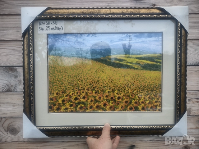 Рамки за картини, снимка 9 - Картини - 52502486