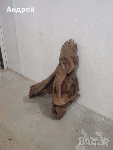 Огромни Мангров корен 50+см. 60 - 85лв. , снимка 8 - Оборудване за аквариуми - 51042014