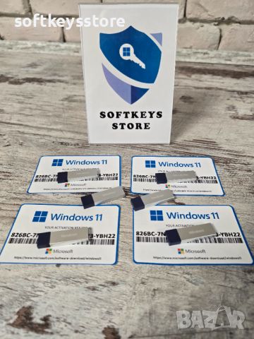 Windows 11 Pro / Home USB Flash + Лиценз (ПРОМО до 31.08.2024), снимка 1 - Други - 39043517