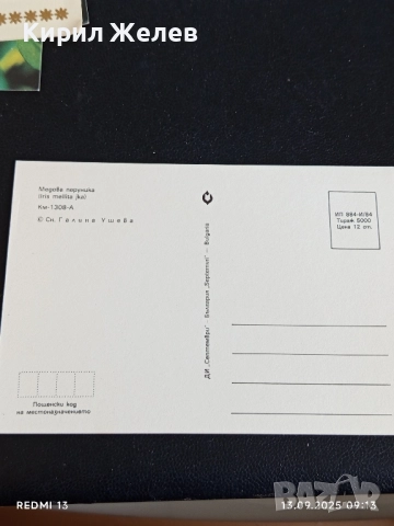 Четири пощенски картички МЕДОВА ПЕРУНИКА, СТРАНДЖАНСКА ЗВЪНИКА,ВОДНА ЛИЛИЯ 26474, снимка 4 - Филателия - 51697755