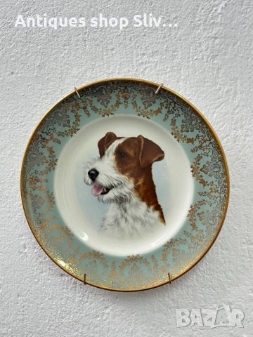 Английска порцеланова чиния с илюстрация на джак ръсел. №5544, снимка 1 - Колекции - 46386854