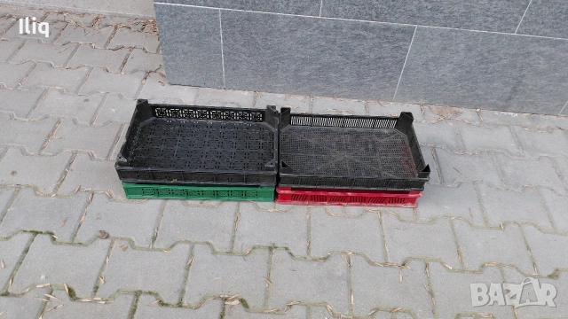 щтайги за ягоди. , снимка 3 - Разсади - 53575352