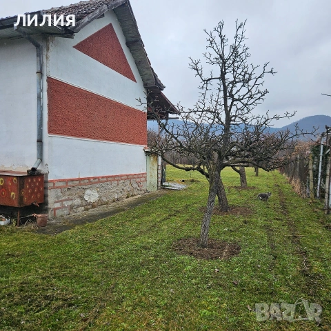 ВИЛЕН ИМОТ, Вачански лозя, м. Янкин връх, снимка 7 - Вили - 53935273