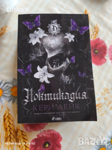 Ноктикадия , снимка 3 - Други - 52462677