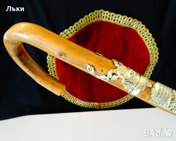 Тиролски бастун 9 значки,Елен. , снимка 2 - Антикварни и старинни предмети - 53772632