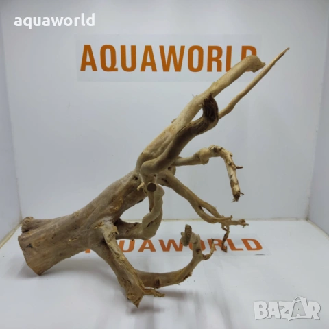 Корен Азалия 23, снимка 2 - Оборудване за аквариуми - 54237372