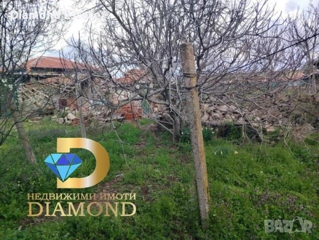 Едноетажна къща в село Сталево, обл. Хасково, снимка 11 - Къщи - 54042415