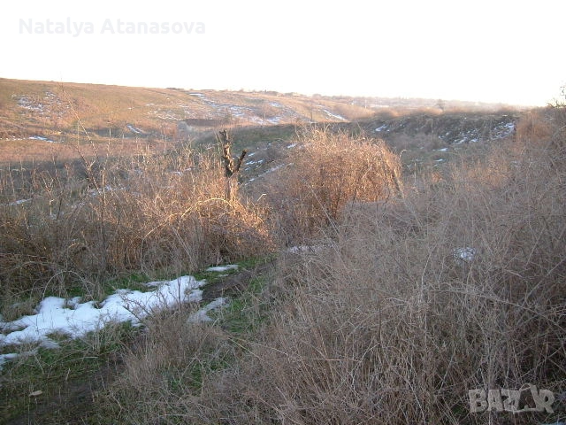 Превъзходен голям парцел от селска земя в регулация в Златия, снимка 4 - Парцели - 53635253