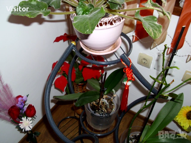 BenQ DC C1035   10 мрХ, снимка 18 - Фотоапарати - 54282156