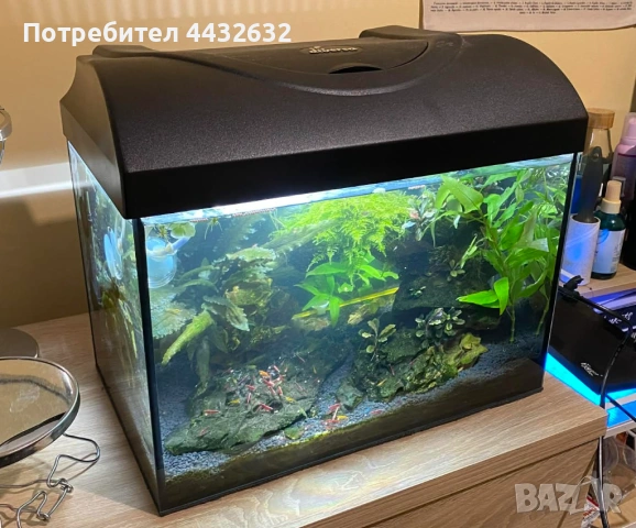 Аквариум със скариди, цялостно оборудван и естествено декориран, снимка 3 - Аквариуми - 54021454