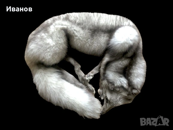 Топ цена - 49€. Шал/Яка от Сребърна лисица - Естествена кожа, снимка 2 - Шалове - 53606436