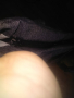 Сива маркова чанта Лорелли за през рамо промазан плат нова 43х32х15см, снимка 9