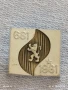 Рядка значка от соца 1300г. България перфектно състояние за КОЛЕКЦИЯ 27159, снимка 1