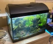 Аквариум със скариди, цялостно оборудван и естествено декориран, снимка 3