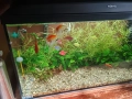 Продавам аквариум , снимка 2