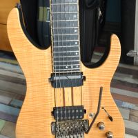 7-струнна електрическа китара Schecter Banshee Elite 7 FR-S, снимка 4 - Китари - 45389925
