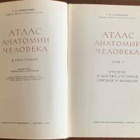 Атлас анатомии человека, Синельников, том 1-3, снимка 3 - Специализирана литература - 45251781