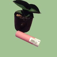 Балсам за устни ,,Faberlic”, антивъзрастов, безцветен , снимка 4 - Декоративна козметика - 45134425