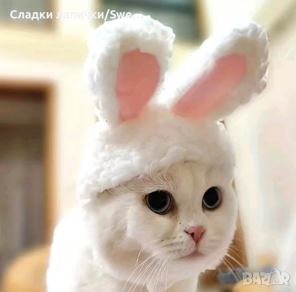 Шапка за котки – закачлива и сладка 🐰, снимка 1