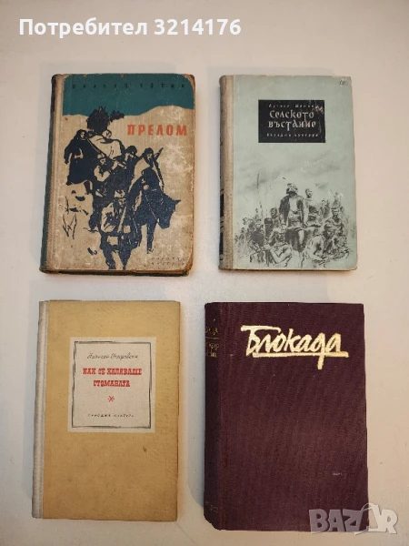 Прелом - Бранко Чопич, снимка 1