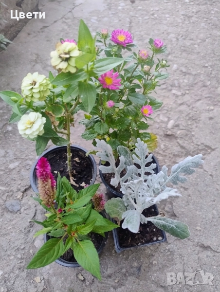 Продавам комплект , снимка 1