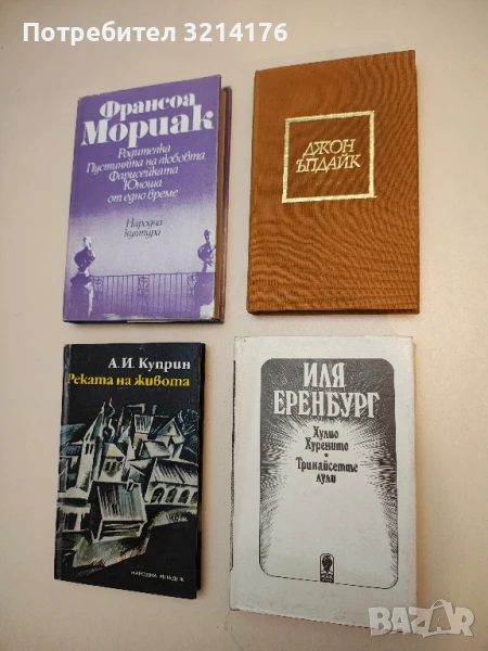 Хулио Хуренито; Тринайсетте лули - Иля Еренбург, снимка 1