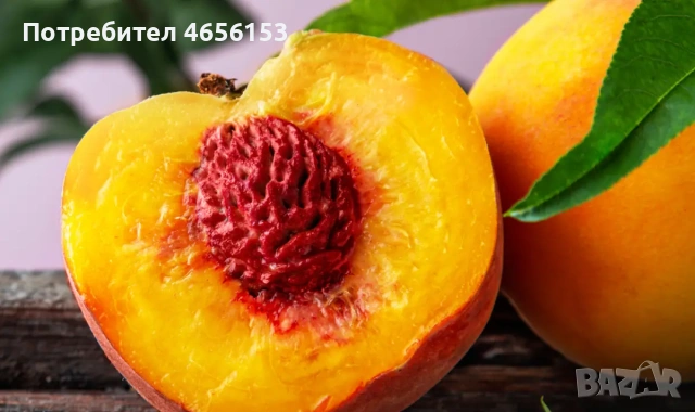 ФИДАНКИ за засаждане: КАЙСИИ , СЛИВИ , ЧЕРЕШИ, БАДЕМИ, ПРАСКОВИ , снимка 3 - Разсади - 54188530