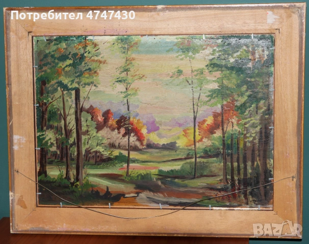 Иван Антонов зимен пейзаж , маслени бои, снимка 8 - Картини - 53646550