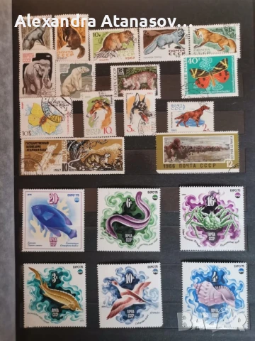 Класьори с пощенски марки, снимка 12 - Филателия - 51156532