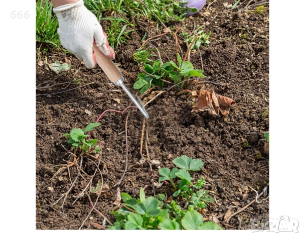 Инструмент за плевене: идеален за премахване на глухарчета, магарешки бодил, коприва и други , снимка 4 - Други инструменти - 52950991