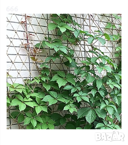 Мрежа за увивни растения Юта, 2x2.5 м, 15x15 см, Кафява, снимка 4 - Други стоки за дома - 52950153