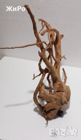 Корен от Азалия /декорация/ 56, снимка 3 - Други - 54102259