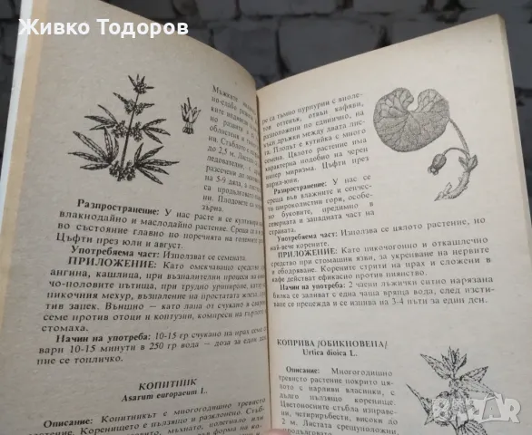 Билките в всеки дом/Здраве от аптеката на Господ/Лековити билки.Рецепти,съвети/Лекарствени растения, снимка 8 - Езотерика - 37629596