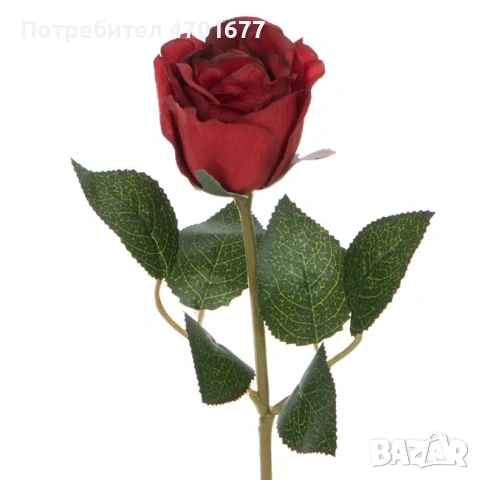 Декоративна роза за Свети Валентин