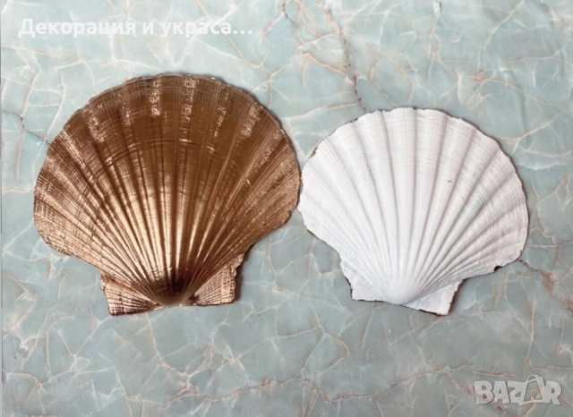 Подаръци за гости от миди, снимка 4 - Декорация - 52650174