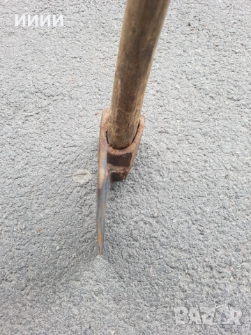 Брадва кривица , снимка 2 - Антикварни и старинни предмети - 54294414