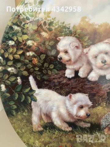 Hutschenreuther.Чиния « Намерено в градина», снимка 10 - Антикварни и старинни предмети - 50812153