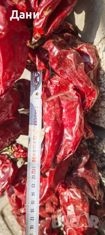 Продавам сухи чушки , снимка 4 - Домашни продукти - 52816797