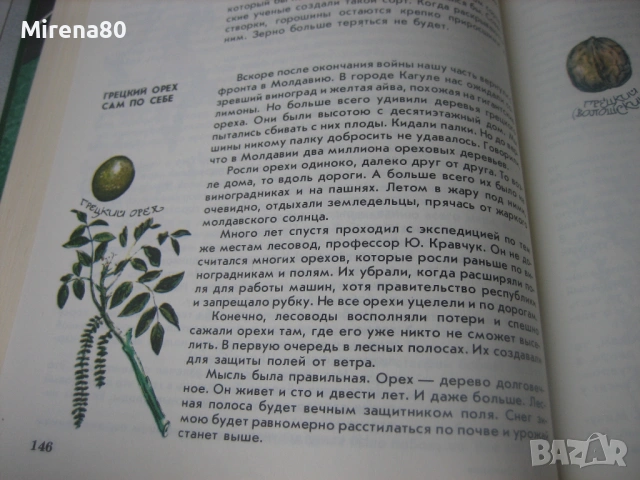Мир растений - А. Смирнов, снимка 6 - Енциклопедии, справочници - 53965881