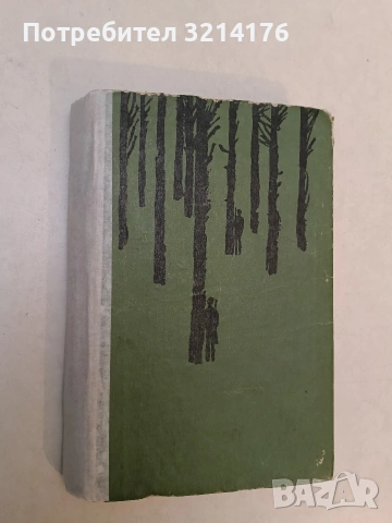 Дата Туташхиа - Чабуа Амираджиби , снимка 2 - Художествена литература - 53179792