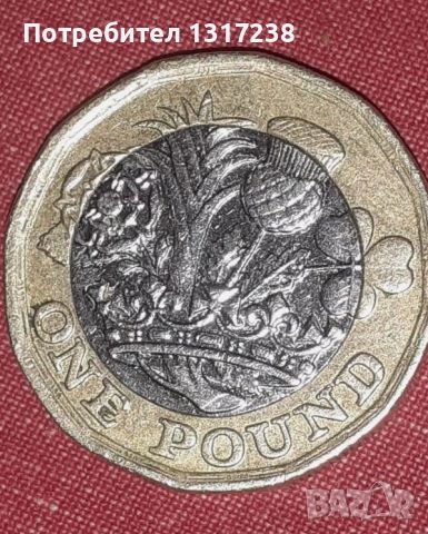 1 паунд  2016 Елизабет 2 рядка колекционерска монета, снимка 2 - Колекции - 46421721